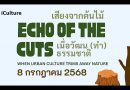 เสียงจากต้นไม้ : จุดประกายแนวคิดการอยู่ร่วมกันอย่างยั่งยืนของคน เมือง และต้นไม้ใหญ่